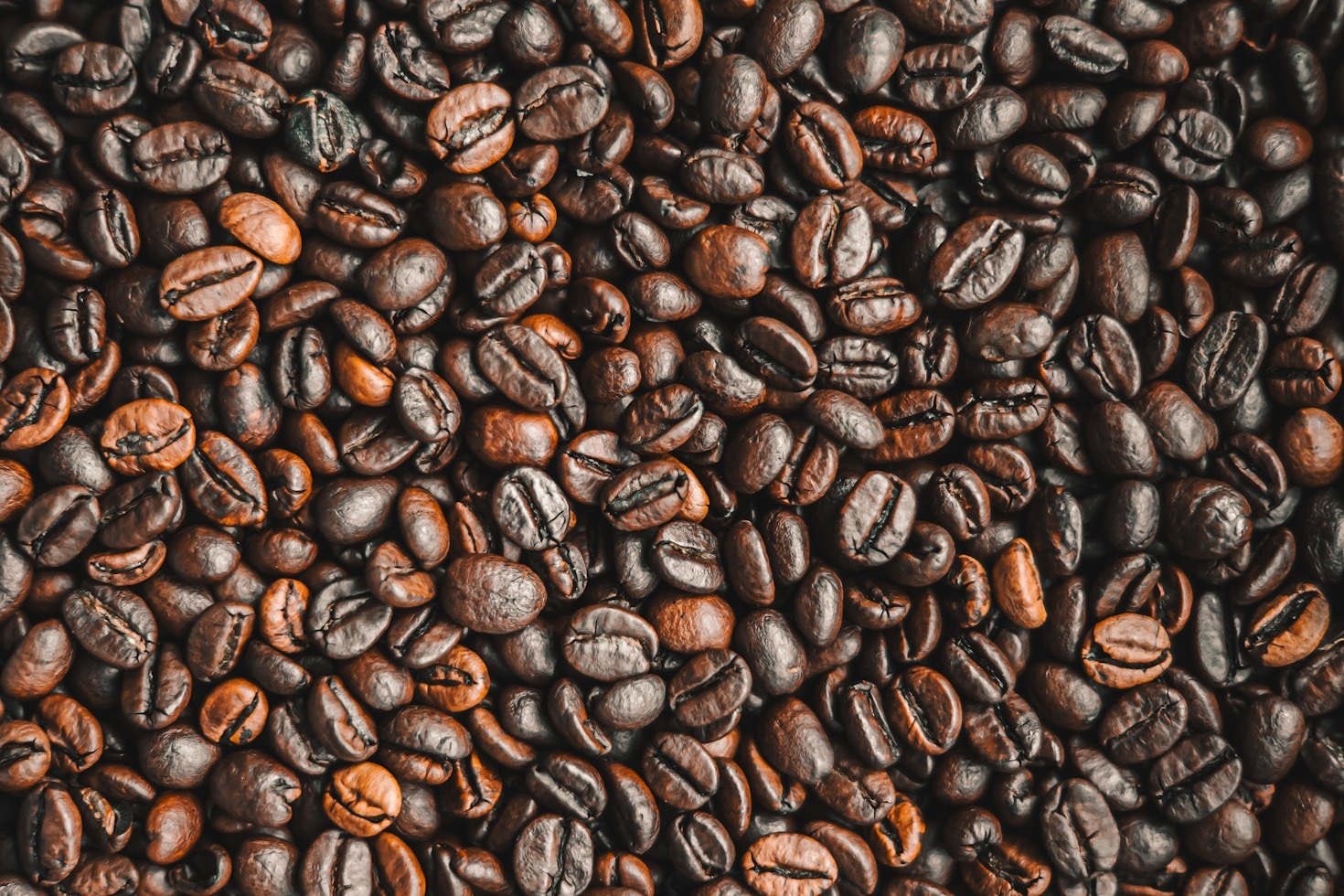 How Central Coffee Services is Transforming Ugandan Coffee
