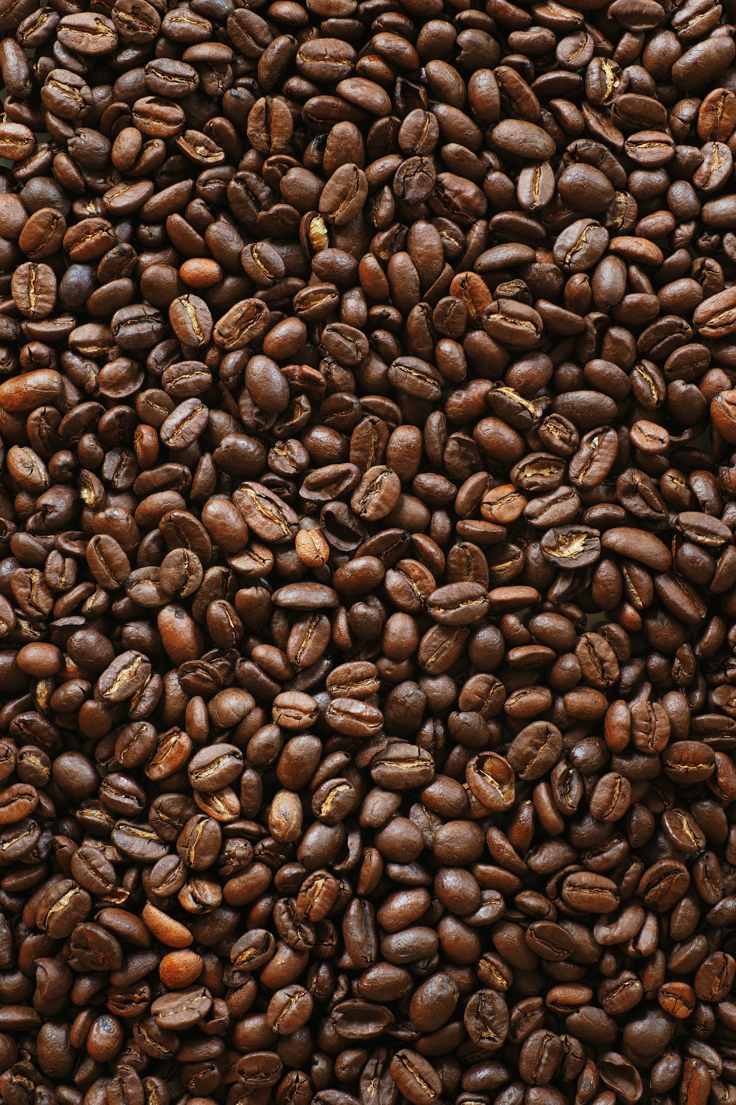 Fair Trade: Changing the Lives of Coffee Farmers