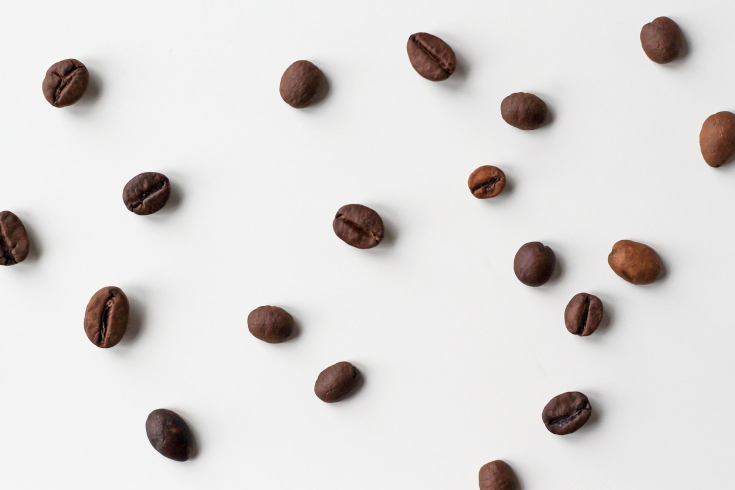 Empowering Farmers Through Coffee Training Programs