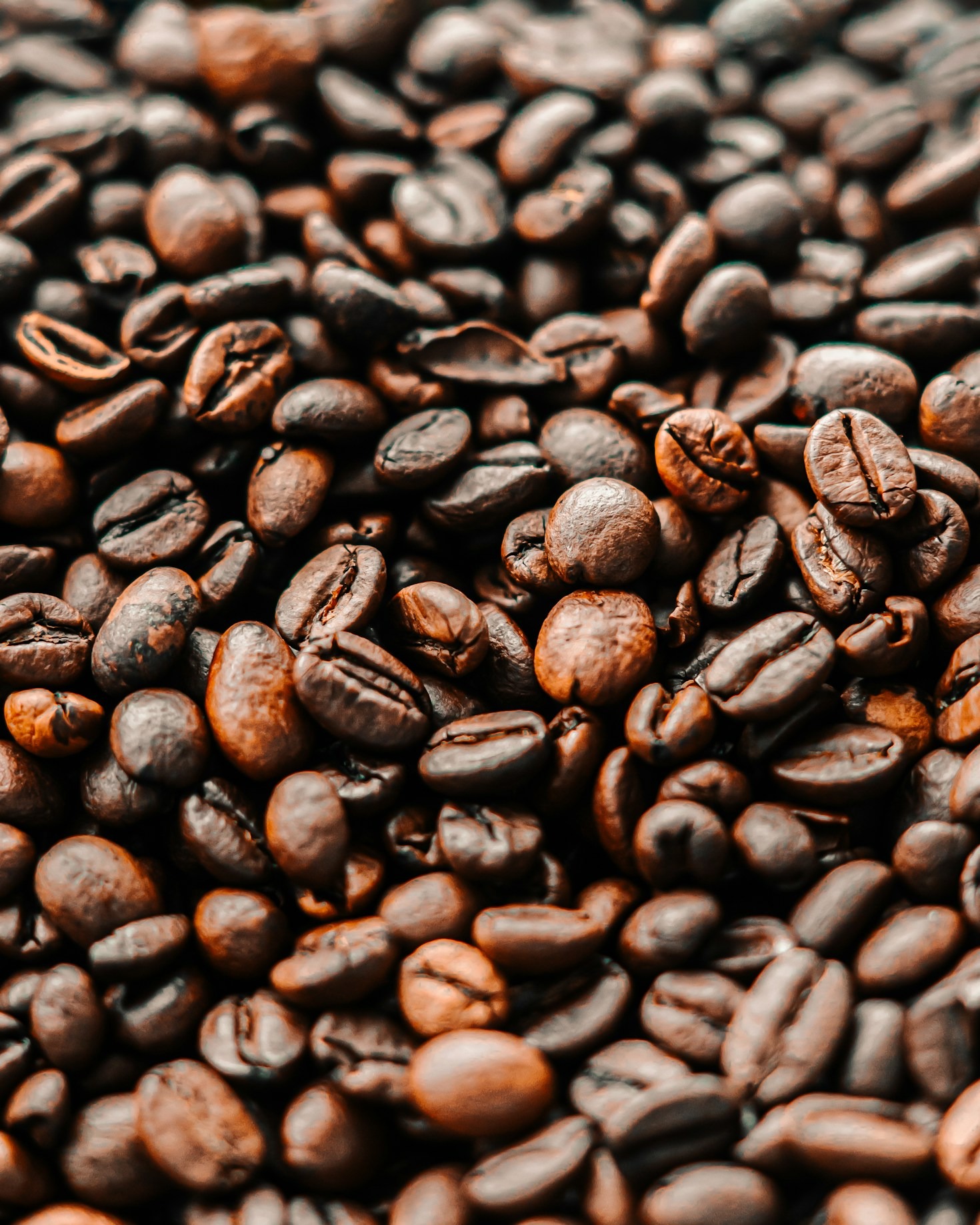 Sustainability in Every Step of Coffee Production